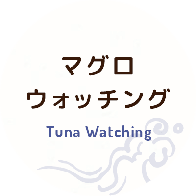 マグロウォッチング Tuna Watching
